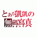 とある凱凱の無碼寫真（版權所有）