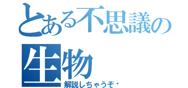 とある不思議の生物（解説しちゃうぞ〜）