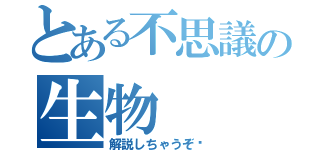 とある不思議の生物（解説しちゃうぞ〜）