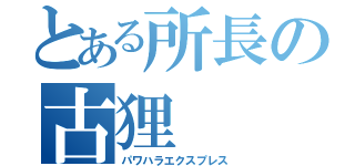 とある所長の古狸（パワハラエクスプレス）