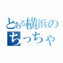 とある横浜のちっちゃい集団（）