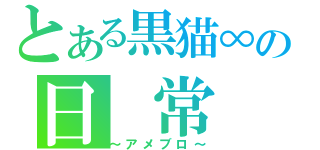 とある黒猫∞の日　常（～アメブロ～）