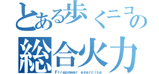 とある歩くニコンの総合火力演習（Ｆｉｒｅｐｏｗｅｒ ｅｘｅｒｃｉｓｅ）