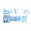 とあるＶの戦闘練習（）