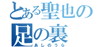 とある聖也の足の裏（あしのうら）