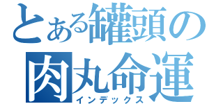 とある罐頭の肉丸命運（インデックス）