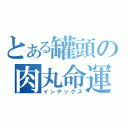 とある罐頭の肉丸命運（インデックス）