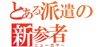 とある派遣の新参者（ニューカマー）