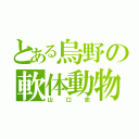 とある烏野の軟体動物（山口忠）