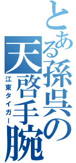 とある孫呉の天啓手腕（江東タイガー）