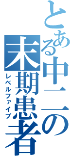 とある中二の末期患者（レベルファイブ）