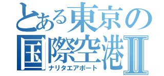 とある東京の国際空港Ⅱ（ナリタエアポート）