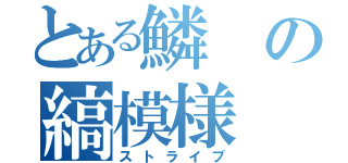 とある鱗の縞模様（ストライプ）