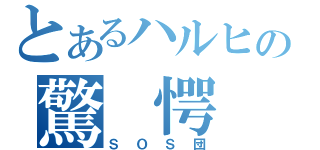 とあるハルヒの驚　愕（ＳＯＳ団）