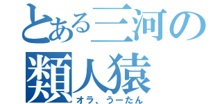 とある三河の類人猿（オラ、うーたん）