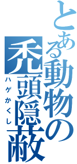 とある動物の禿頭隠蔽（ハゲかくし）