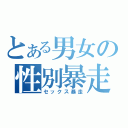 とある男女の性別暴走（セックス暴走）