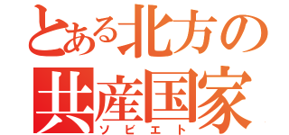 とある北方の共産国家（ソビエト）