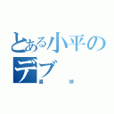 とある小平のデブ（直球）