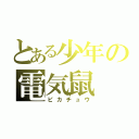 とある少年の電気鼠（ピカチュウ）