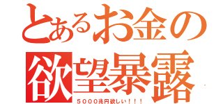 とあるお金の欲望暴露（５０００兆円欲しい！！！）