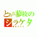 とある蓼校のシラケタ頭（若井カズキ）