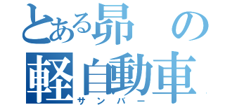 とある昴の軽自動車（サンバー）