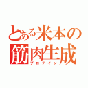 とある米本の筋肉生成（プロテイン）