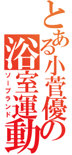 とある小菅優の浴室運動（ソープランド）