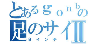 とあるｇｏｎｂｅｉの足のサイズⅡ（８インチ）