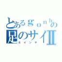 とあるｇｏｎｂｅｉの足のサイズⅡ（８インチ）