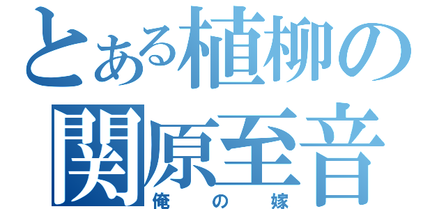 とある植柳の関原至音（俺の嫁）