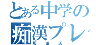 とある中学の痴漢プレイ（坂田氏）