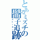 とあるミズチの髷子追跡（ストーカー）