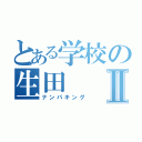 とある学校の生田Ⅱ（ナンパキング）