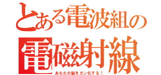 とある電波組の電磁射線（あなたの脳をガン化する！）