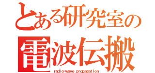 とある研究室の電波伝搬（ｒａｄｉｏ－ｗａｖｅ ｐｒｏｐａｇａｔｉｏｎ）