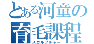 とある河童の育毛課程（スカルプチャー）