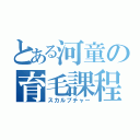 とある河童の育毛課程（スカルプチャー）