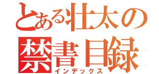 とある壮太の禁書目録（インデックス）