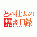 とある壮太の禁書目録（インデックス）