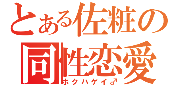 とある佐粧の同性恋愛（ボクハゲイ♂）