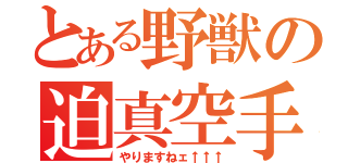 とある野獣の迫真空手（やりますねェ↑↑↑）