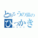 とあるうの猫のひっかき（パリパリ）