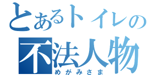 とあるトイレの不法人物（めがみさま）