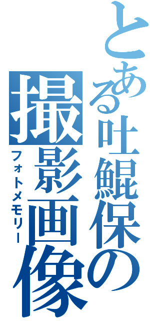 とある吐鯤保の撮影画像Ⅱ（フォトメモリー）