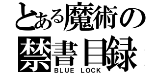 とある魔術の禁書目録（ＢＬＵＥ ＬＯＣＫ）