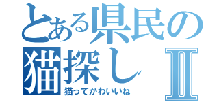 とある県民の猫探しⅡ（猫ってかわいいね）