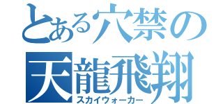 とある穴禁の天龍飛翔（スカイウォーカー）