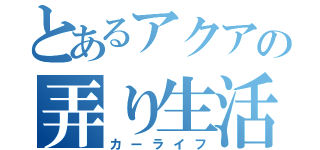 とあるアクアの弄り生活（カーライフ）